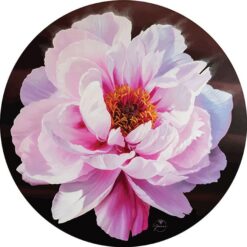 Gọn Nhẹ, Linh Hoạt, Tập Tự Do
