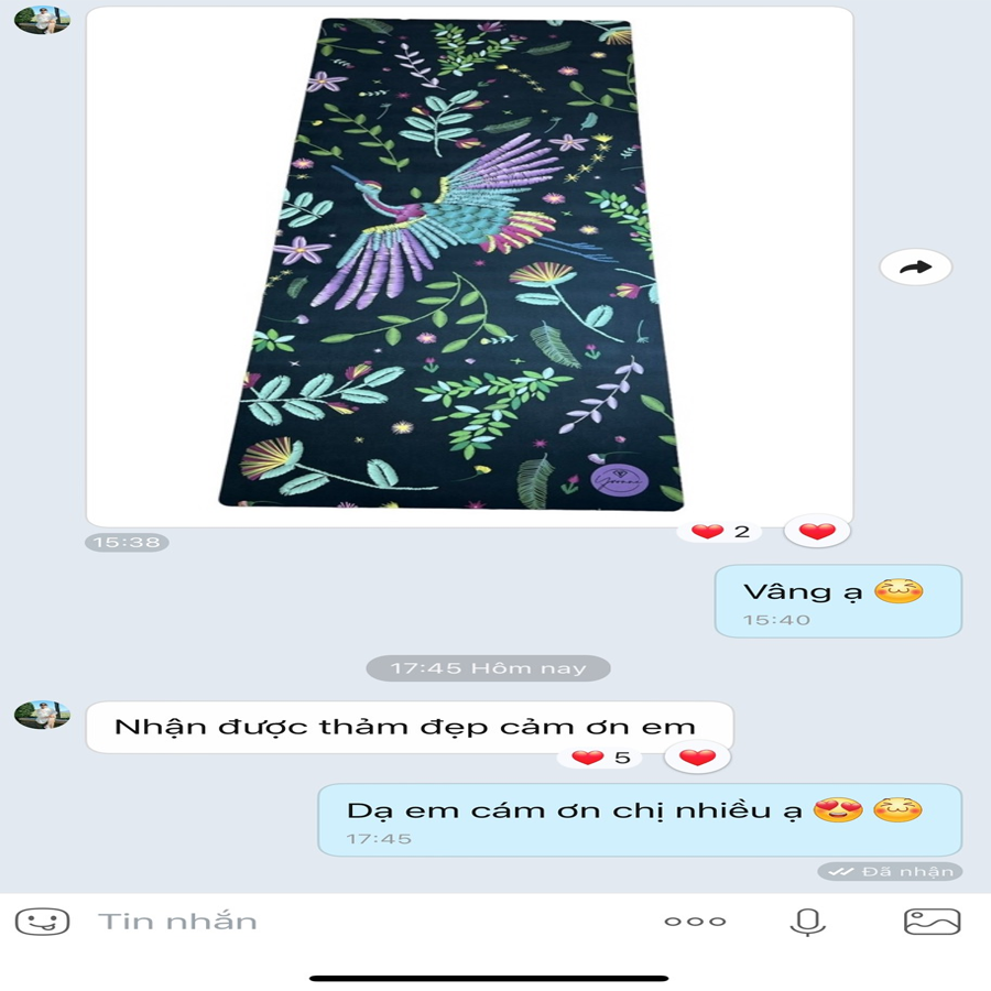 review thảm yoga yvonne